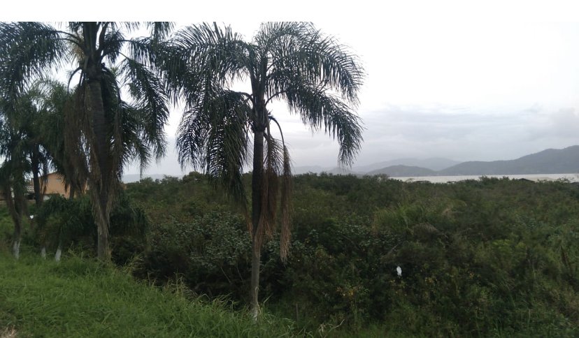 Terreno - Venda - Porto da Vila - Imbituba - SC