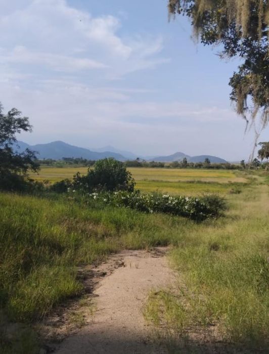 S�tio - Venda - Barreiros do Rio Duna - Imaru� - SC