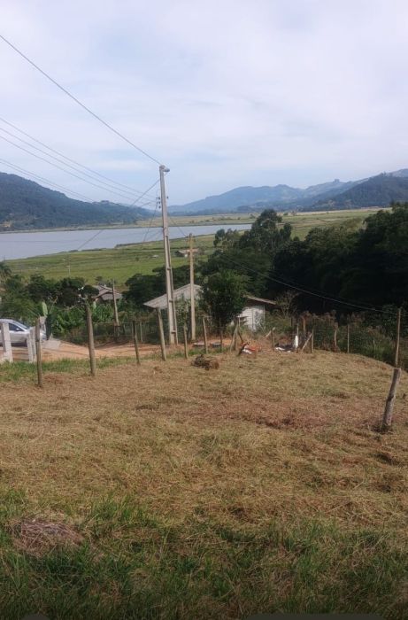 Terreno - Venda - Fazenda S�o Paulo - Imaru� - SC