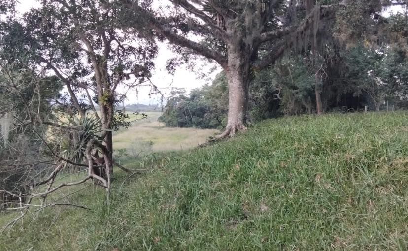 S�tio - Venda - Barreiros do Rio Duna - Imaru� - SC