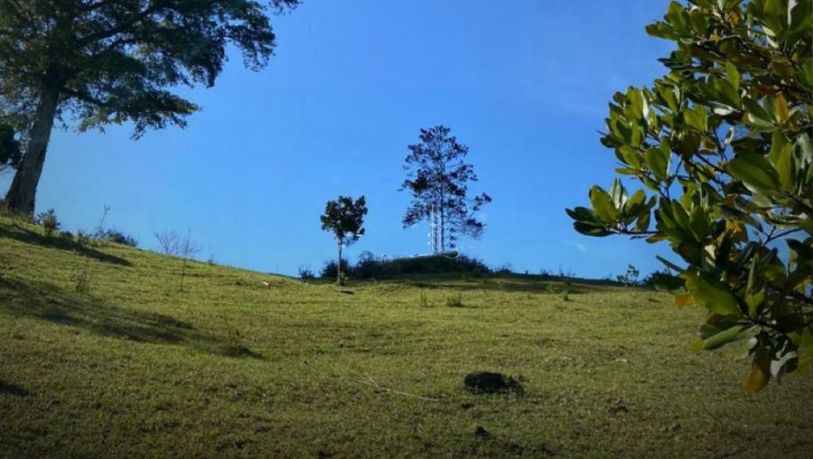 Terreno - Venda - Riacho de Ana Matias - Imaru� - SC