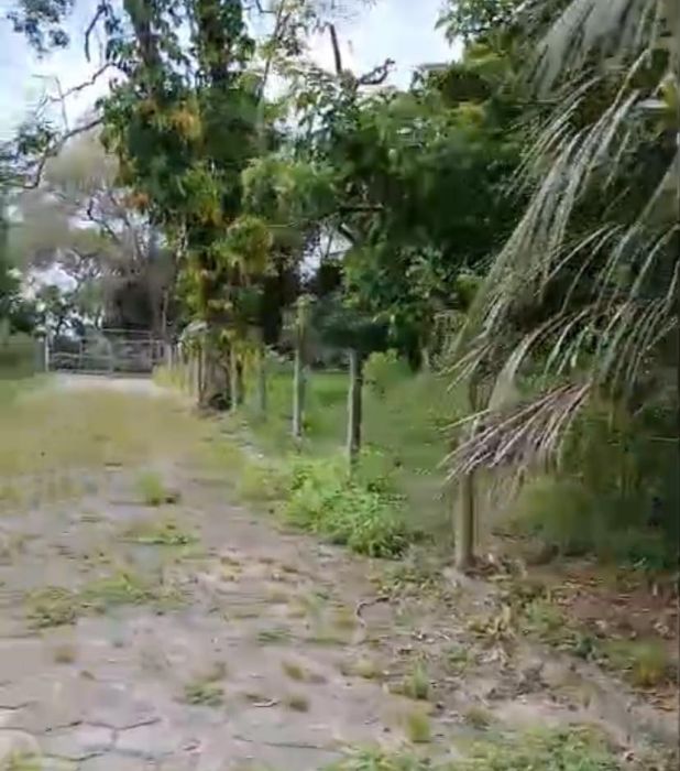 Terreno - Venda - Alto Arroio - Imbituba - SC