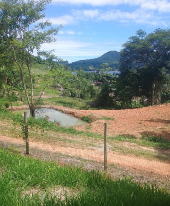 Terreno - Venda - Fazenda S�o Paulo - Imaru� - SC