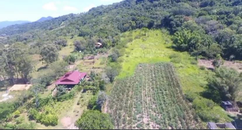 rea - Venda - Sambaqui - Imbituba - SC