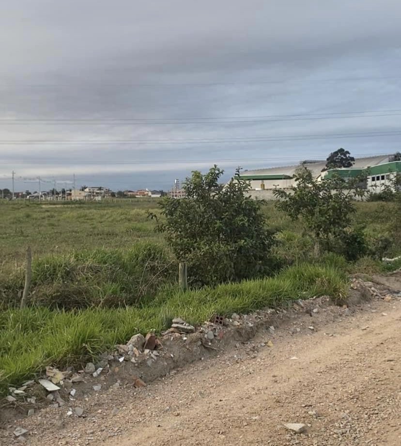 Terreno - Venda - Nova Braslia - Imbituba - SC