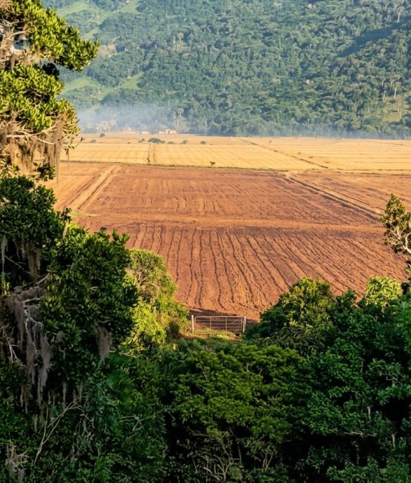 Área - Venda - Retiro - Imaruí - SC
