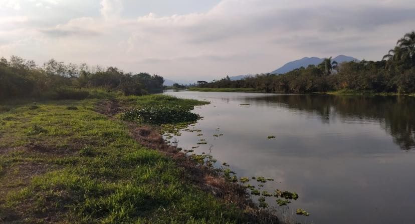 Sítio - Venda - Barreiros do Rio Duna - Imaruí - SC