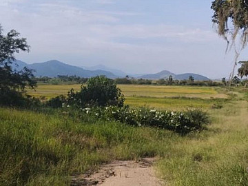 S�TIO � VENDA EM IMARU�/SC