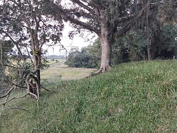 S�TIO � VENDA EM BARREIROS DO RIO DUNA � IMARU�/SC