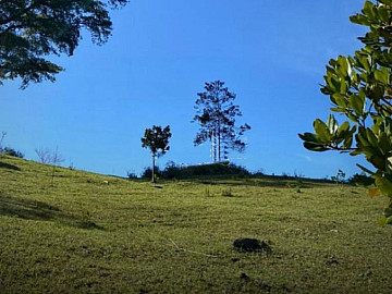 OPORTUNIDADE EM IMARU�