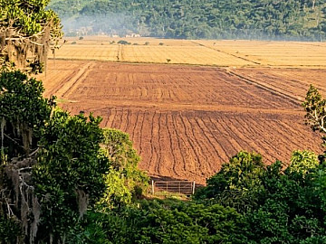 �REA RURAL 90 HECTARES|ESCRITURA P�BLICA|IMBITUBA E IMARUI